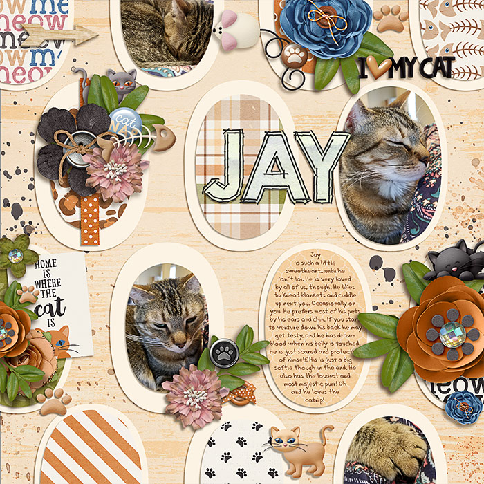 Jay
