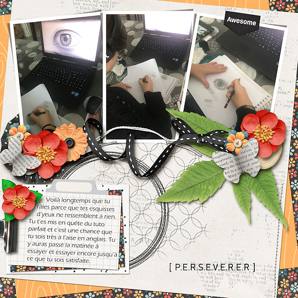 Journal_challenge_perseverance_mini