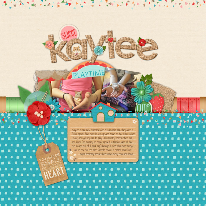 June_-_2_-_Kaytee