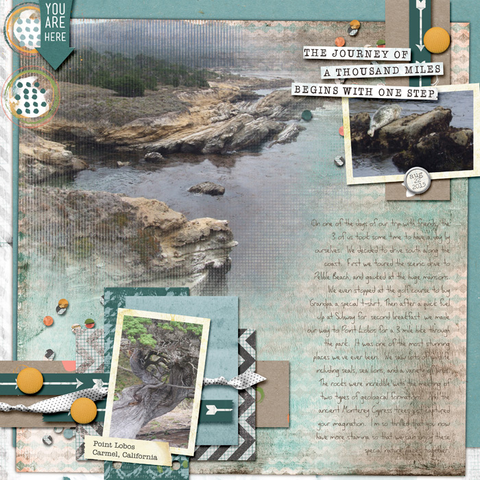 L-0822-Point-Lobos