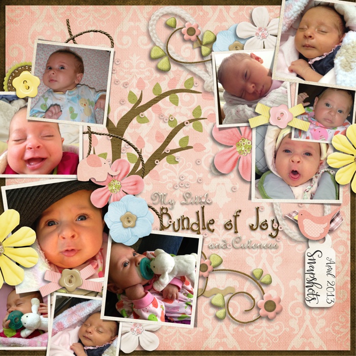 Little_Bundle_sml