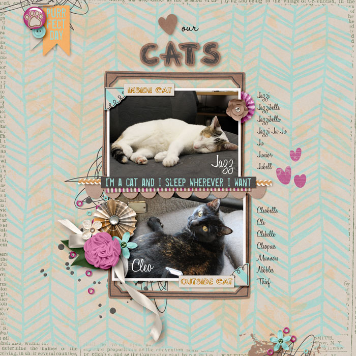 Love-our-cats
