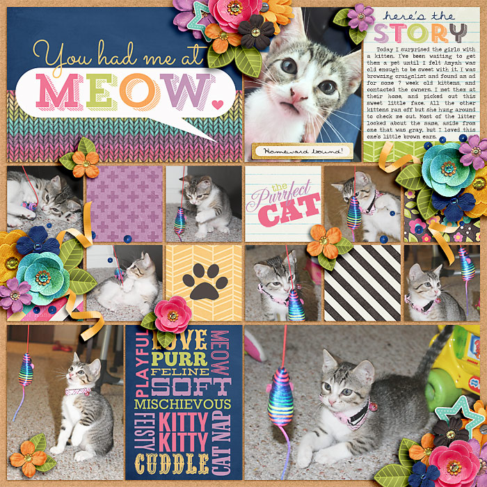 Meow2