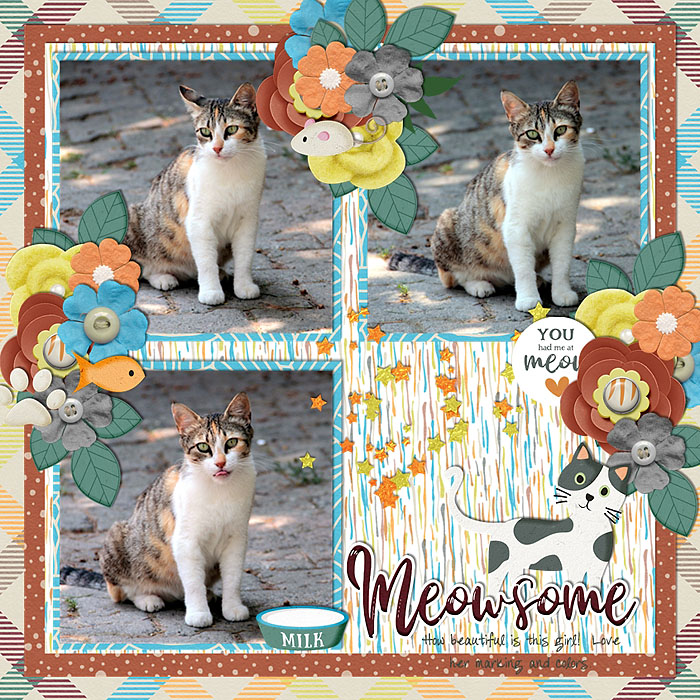 Meowsome