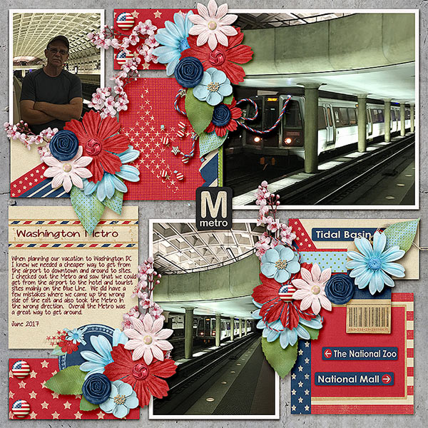 Metro_Washington-DC_June-2017