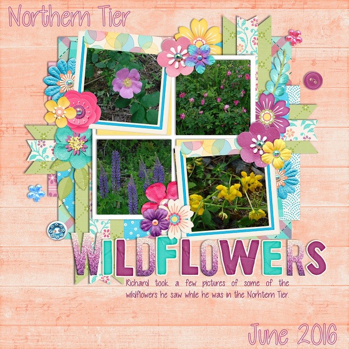 Northern_Tier_Wildflowers_2_SSD