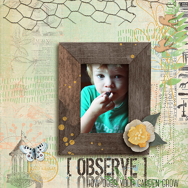 Observe-copy