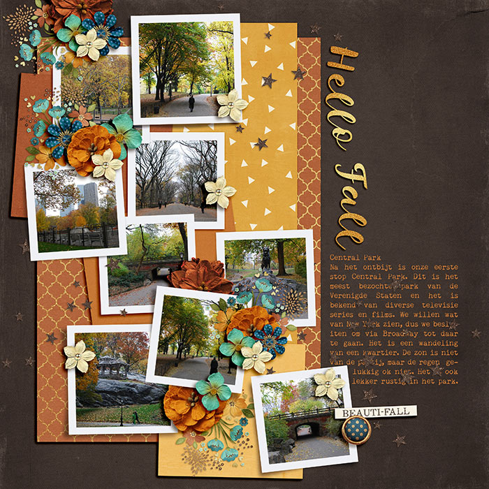 Pagina031web