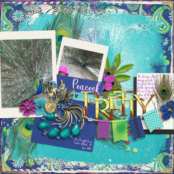 Peacock_Pretty