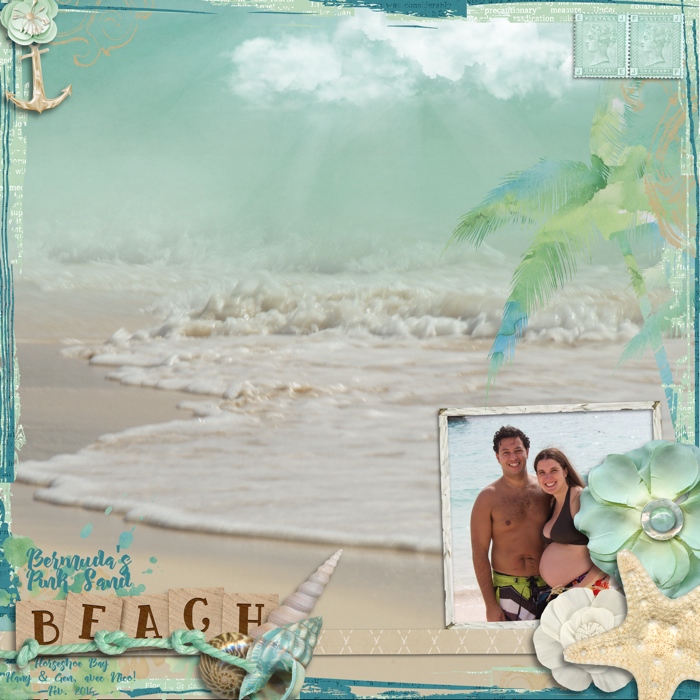 Pink_Sand_Beach_jpg