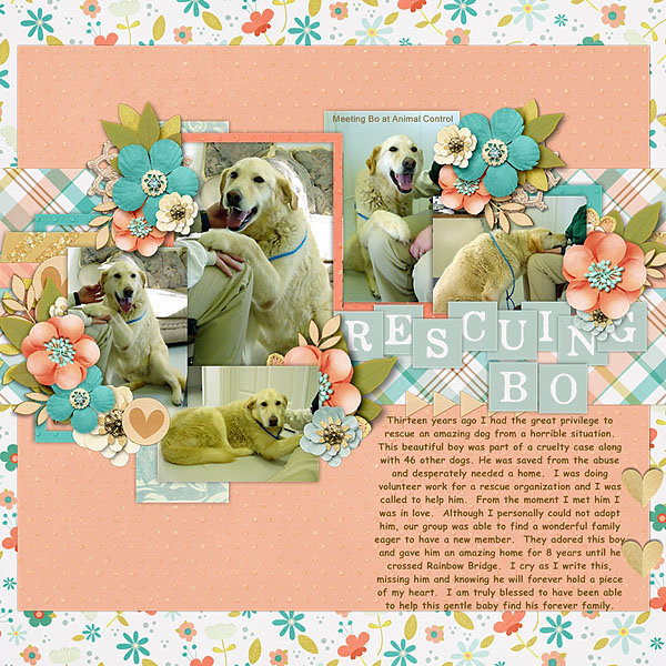 Rescuing_Bo