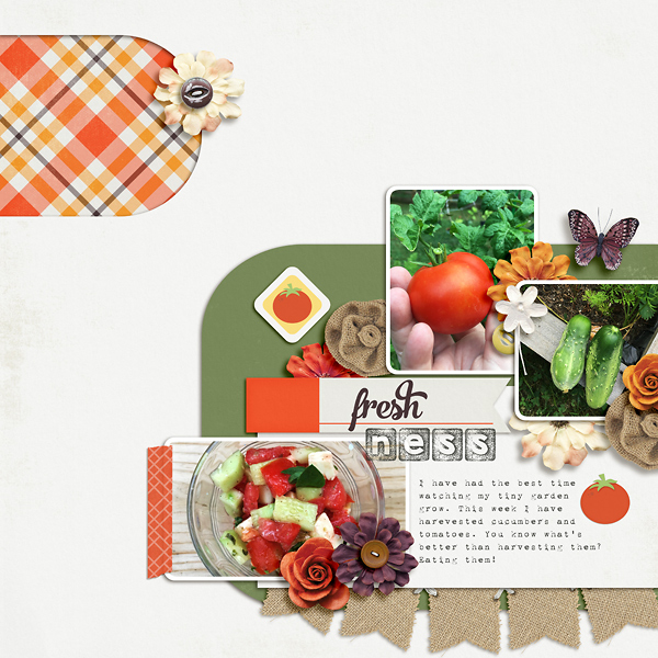 SS-Fresh-Ness-WEB
