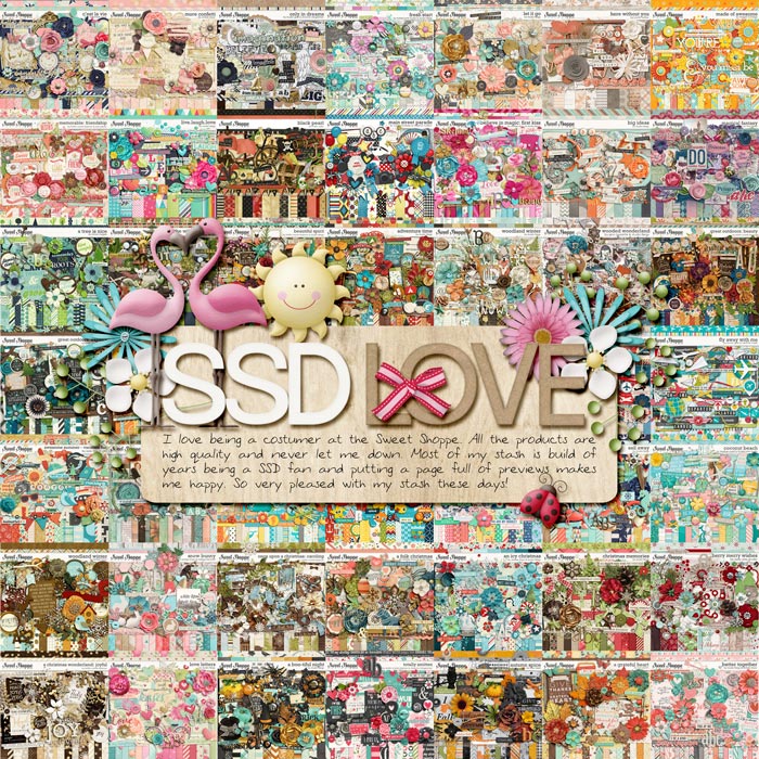 SSD-Love1