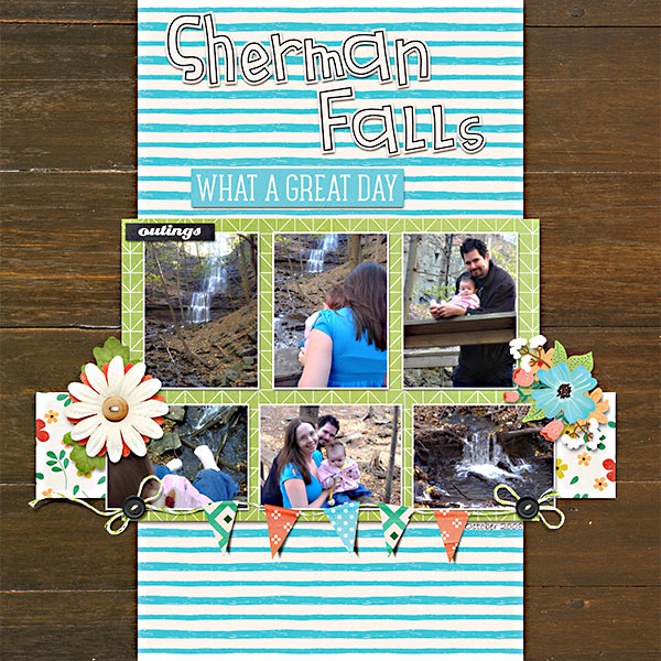 ShermanFalls_2008