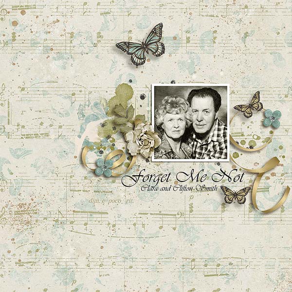 Smith_Forget-Me-Not