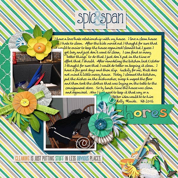 Spic-_-Span_Chores_Feb-2016