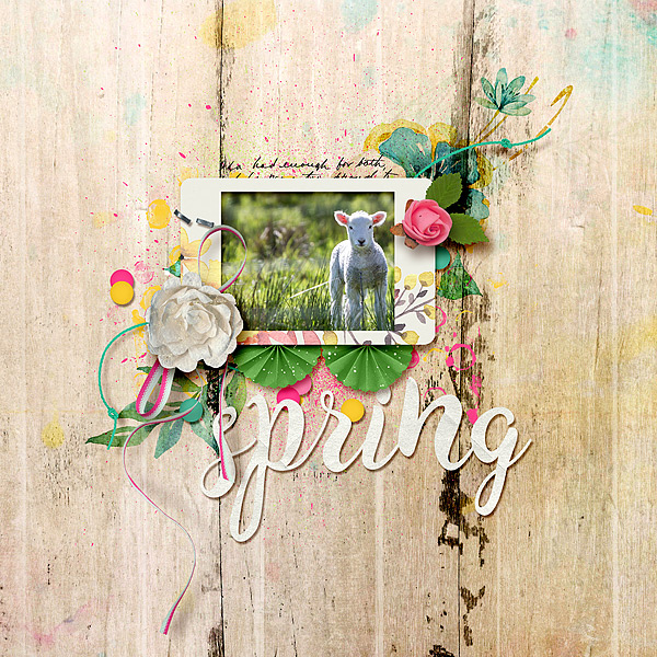 Spring-copy3