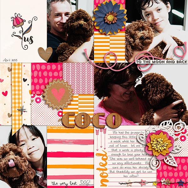 US-copy1