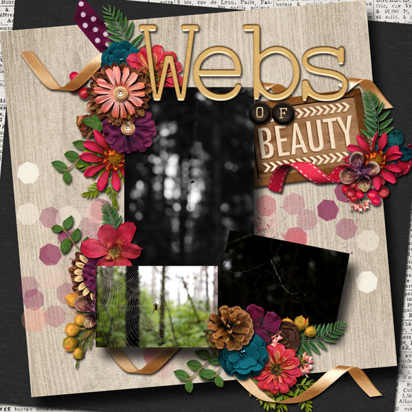 Webs-of-Beauty