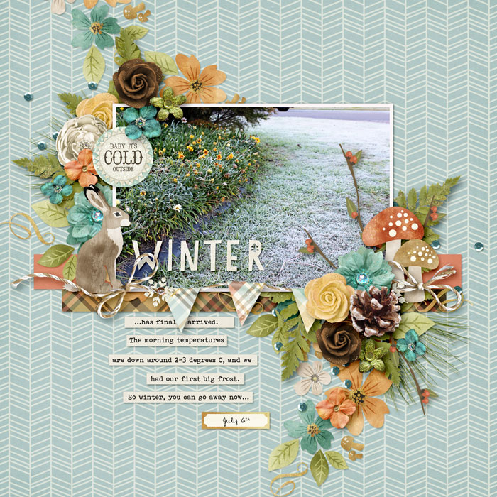 Winter-has-arrived