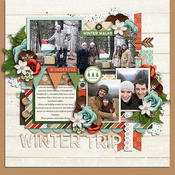 Wintertrip