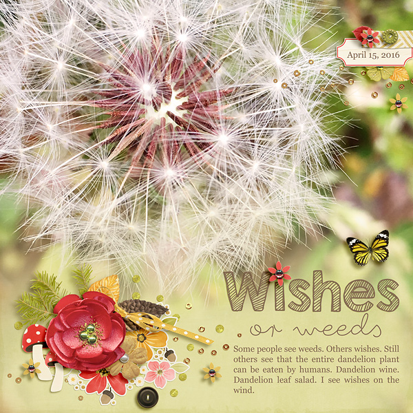Wishes-or-Weeds-WEB