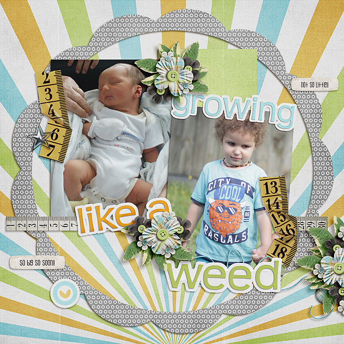 bingo15-weed-copy