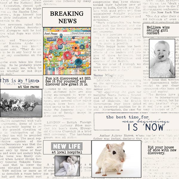 bingo42