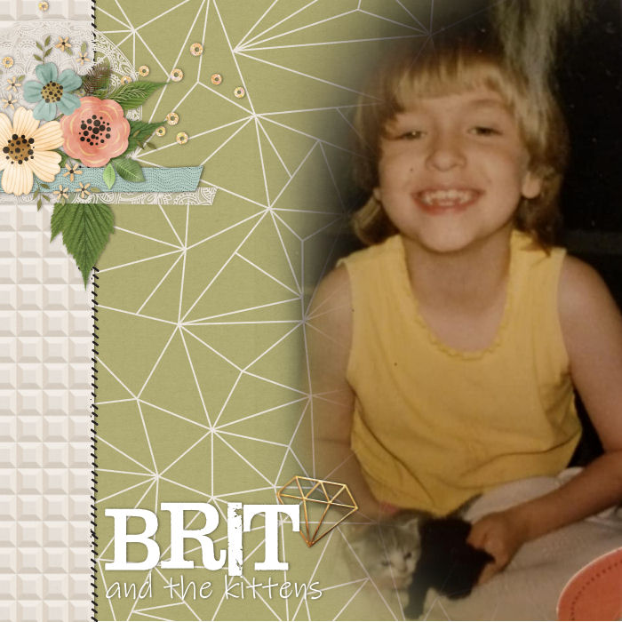 brit_kittys