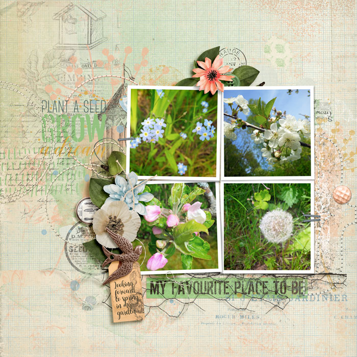 carinak-ttditg-layout001