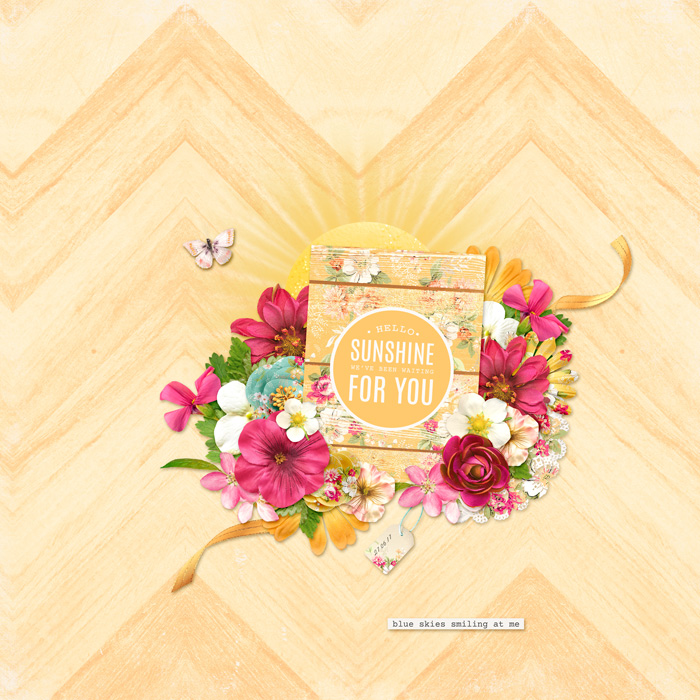 chevron_web