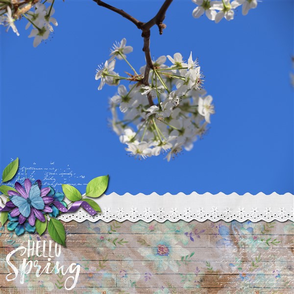 hellospring1