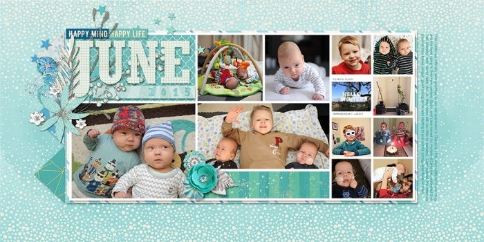 June 2015 in Review