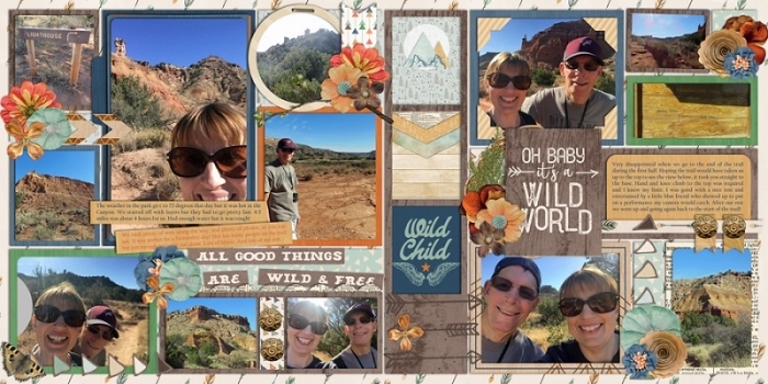 Wild World November 2017