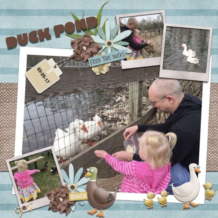 DUCK POND