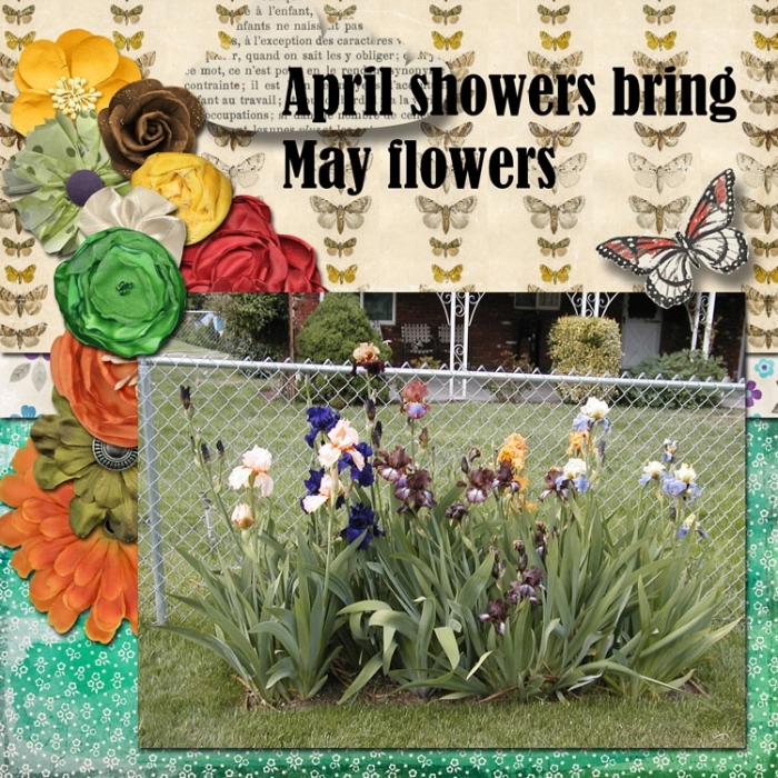 I24-May Flowers