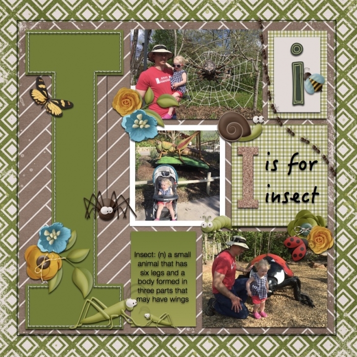 I is for insect
