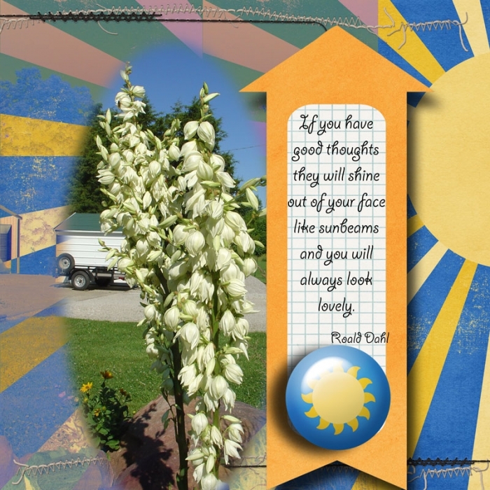 N18 - Sunny