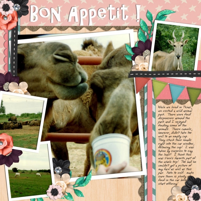 O4 - Bon Appetit