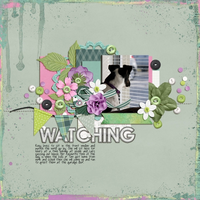 Watching