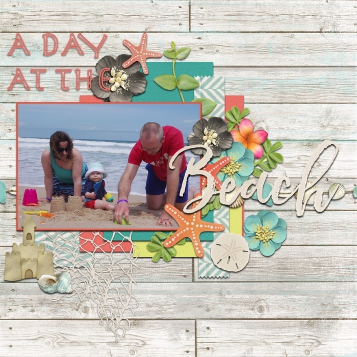 a day at the beach 1