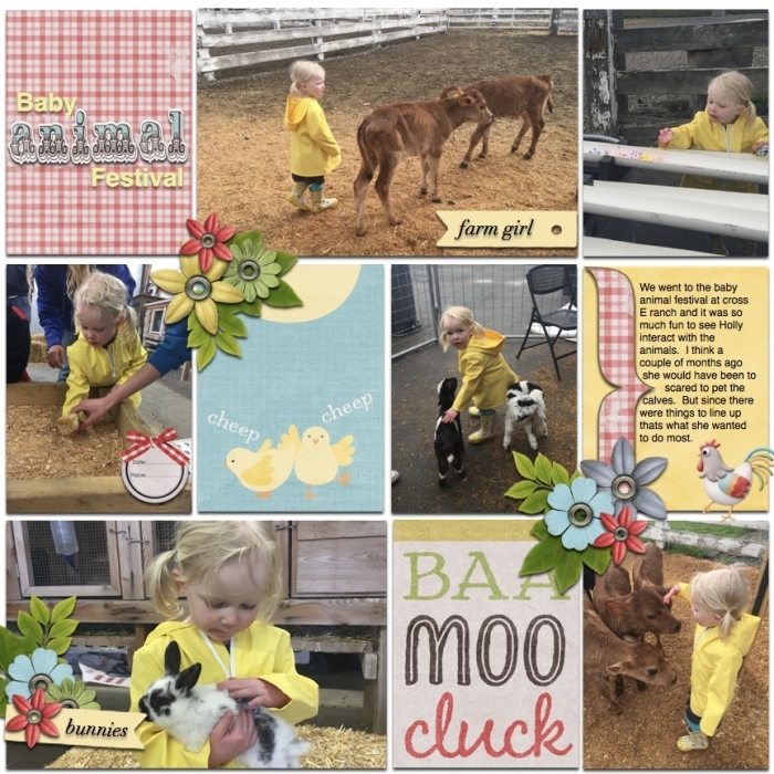 baby_animal_festival