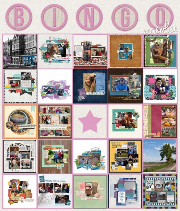 Nov Bingo
