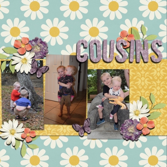 cousins