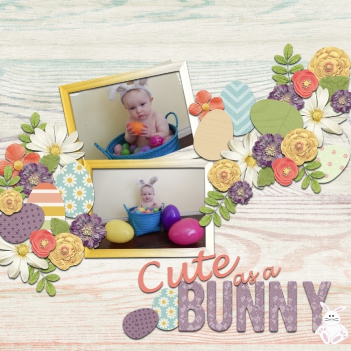 cute as a bunny