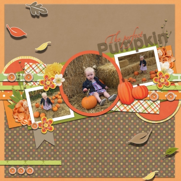 the perfect pumpkin