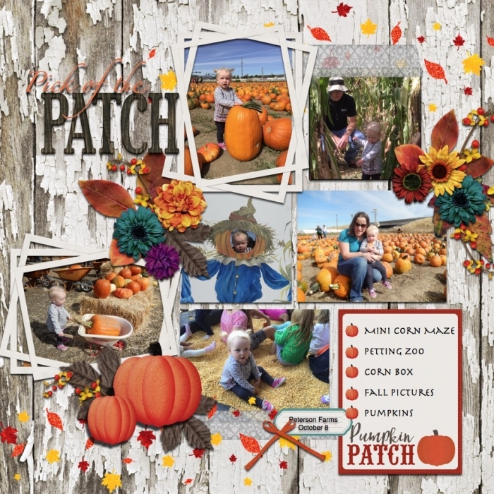 pick of the patch