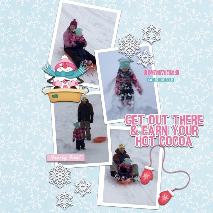 sleeding