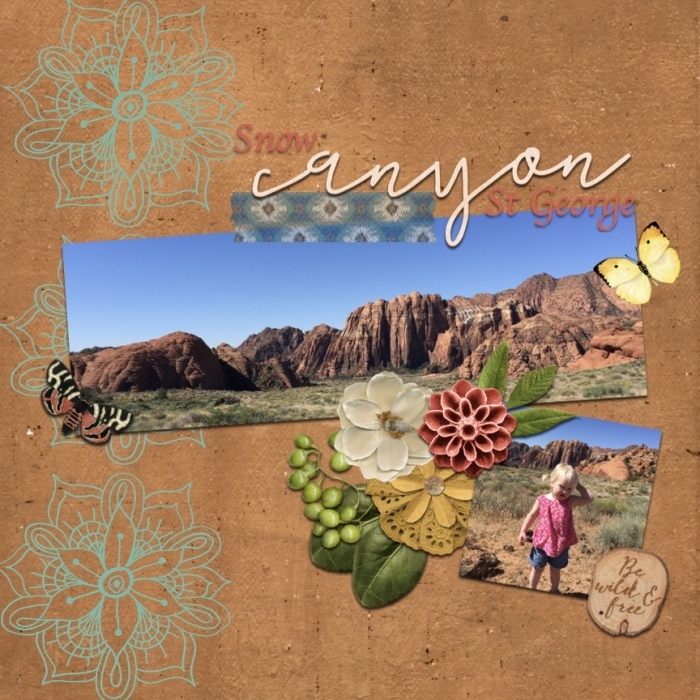 snow canyon