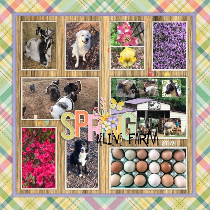 spring_believe_farm_Custom_